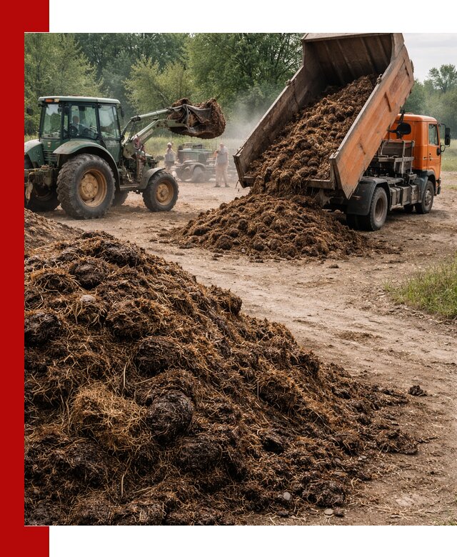 Доставка навоза самосвалами в Карталах для сельхозпотребностей